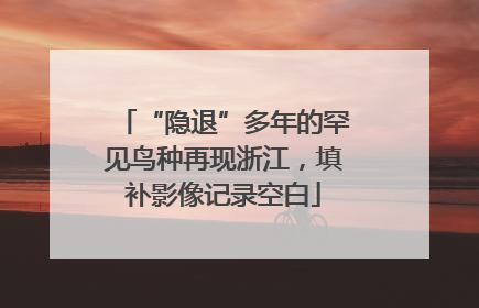 “隐退”多年的罕见鸟种再现浙江，填补影像记录空白