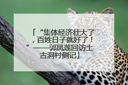 “集体经济壮大了，百姓日子就好了！”——郭凤莲回访土古洞村侧记