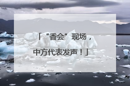 “香会”现场，中方代表发声！