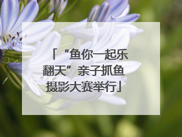 “鱼你一起乐翻天”亲子抓鱼摄影大赛举行