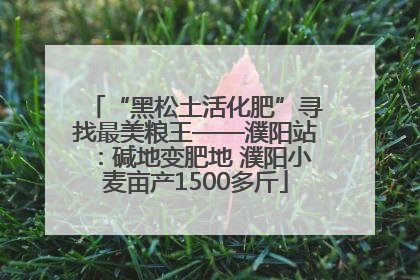 “黑松土活化肥”寻找最美粮王——濮阳站：碱地变肥地 濮阳小麦亩产1500多斤
