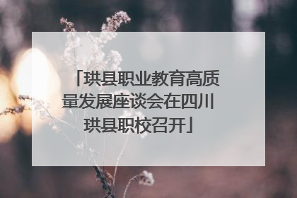 珙县职业教育高质量发展座谈会在四川珙县职校召开