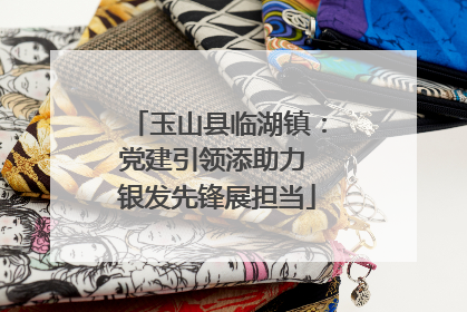玉山县临湖镇：党建引领添助力 银发先锋展担当