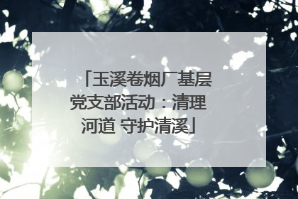 玉溪卷烟厂基层党支部活动：清理河道 守护清溪