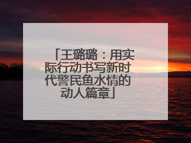 王璐璐：用实际行动书写新时代警民鱼水情的动人篇章