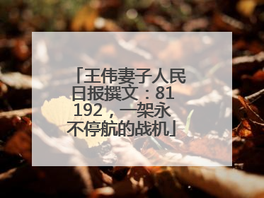 王伟妻子人民日报撰文：81192，一架永不停航的战机
