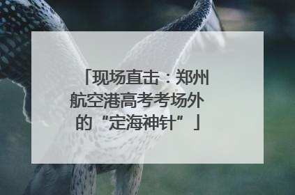 现场直击：郑州航空港高考考场外的“定海神针”