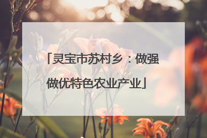 灵宝市苏村乡：做强做优特色农业产业