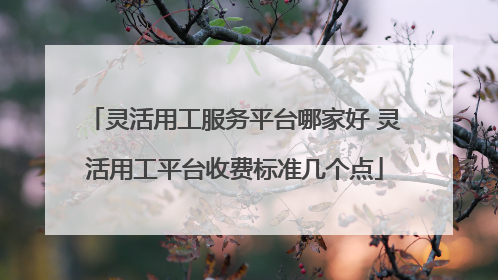灵活用工服务平台哪家好 灵活用工平台收费标准几个点