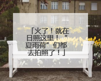 火了！就在日照这里！“夏雨荷”们都去拍照了！
