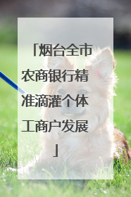 烟台全市农商银行精准滴灌个体工商户发展