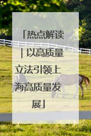 热点解读｜以高质量立法引领上海高质量发展