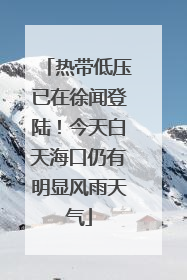 热带低压已在徐闻登陆！今天白天海口仍有明显风雨天气