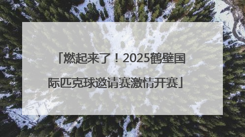 燃起来了！2025鹤壁国际匹克球邀请赛激情开赛