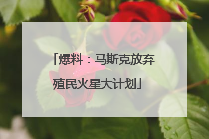 爆料：马斯克放弃殖民火星大计划
