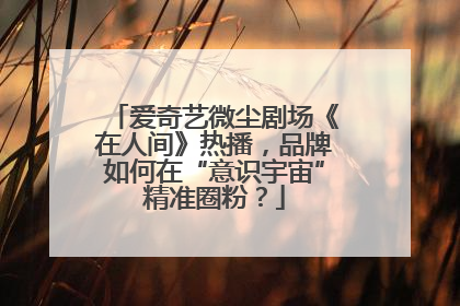 爱奇艺微尘剧场《在人间》热播，品牌如何在“意识宇宙”精准圈粉？
