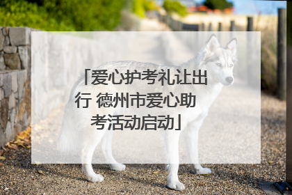 爱心护考礼让出行 德州市爱心助考活动启动
