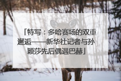 特写：多哈赛场的双重邂逅——新华社记者与孙颖莎先后偶遇巴赫