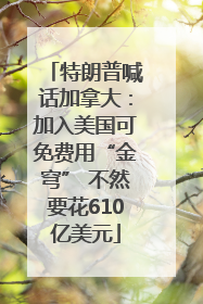 特朗普喊话加拿大：加入美国可免费用“金穹” 不然要花610亿美元