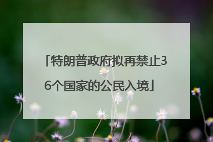 特朗普政府拟再禁止36个国家的公民入境