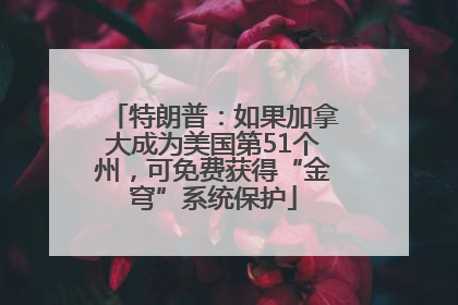 特朗普：如果加拿大成为美国第51个州，可免费获得“金穹”系统保护