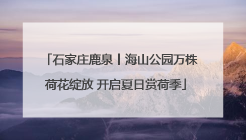 石家庄鹿泉丨海山公园万株荷花绽放 开启夏日赏荷季