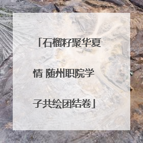 石榴籽聚华夏情 随州职院学子共绘团结卷