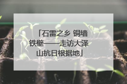 石雷之乡 铜墙铁壁——走访大泽山抗日根据地