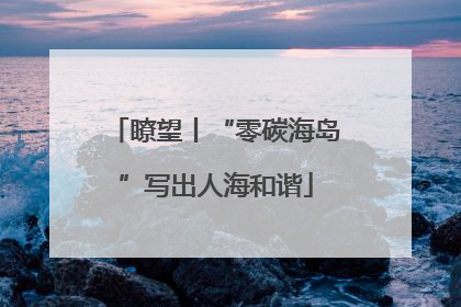 瞭望丨“零碳海岛”写出人海和谐
