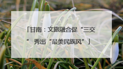 甘南：文旅融合促“三交” 秀出“最美民族风”