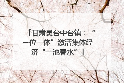 甘肃灵台中台镇：“三位一体”激活集体经济“一池春水”