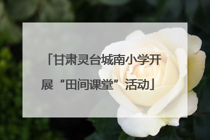 甘肃灵台城南小学开展“田间课堂”活动