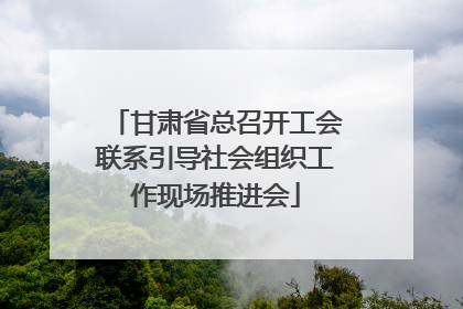 甘肃省总召开工会联系引导社会组织工作现场推进会
