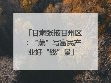 甘肃张掖甘州区：“蔬”写富民产业好“钱”景