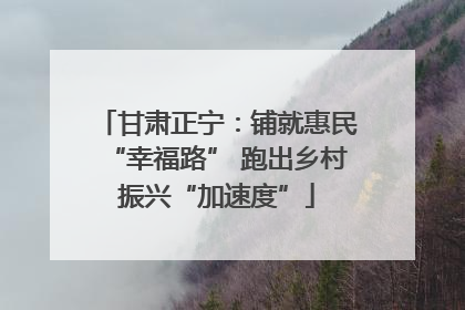 甘肃正宁：铺就惠民“幸福路” 跑出乡村振兴“加速度”