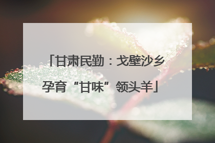 甘肃民勤：戈壁沙乡孕育“甘味”领头羊