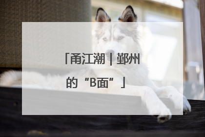 甬江潮｜鄞州的“B面”