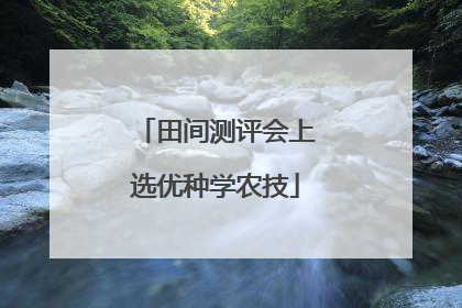 田间测评会上选优种学农技