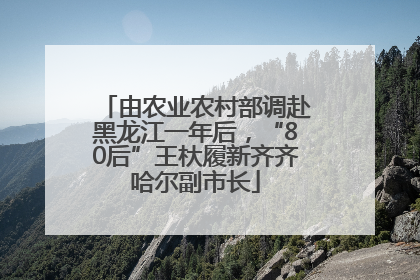 由农业农村部调赴黑龙江一年后，“80后”王杕履新齐齐哈尔副市长
