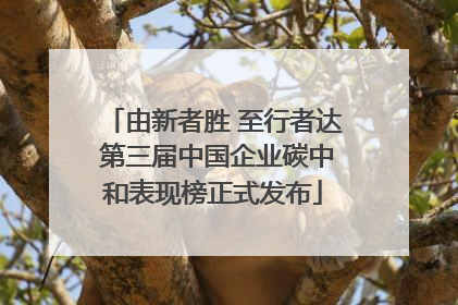 由新者胜 至行者达 第三届中国企业碳中和表现榜正式发布