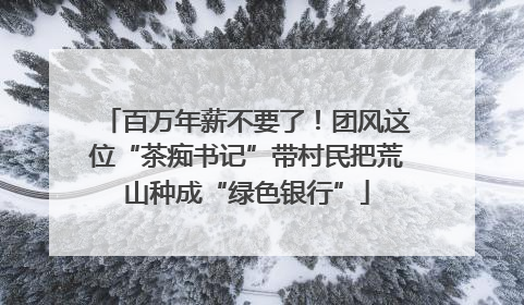 百万年薪不要了！团风这位“茶痴书记”带村民把荒山种成“绿色银行”