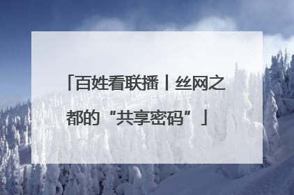 百姓看联播丨丝网之都的“共享密码”