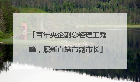 百年央企副总经理王秀峰，履新直辖市副市长