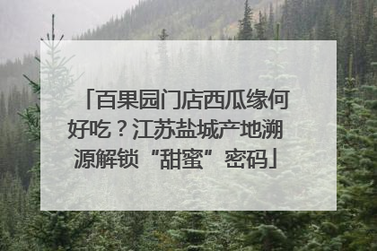百果园门店西瓜缘何好吃？江苏盐城产地溯源解锁“甜蜜”密码