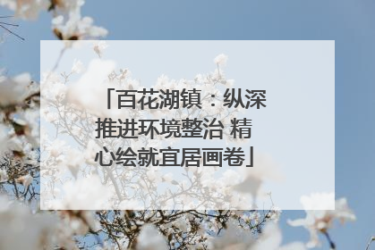 百花湖镇：纵深推进环境整治 精心绘就宜居画卷