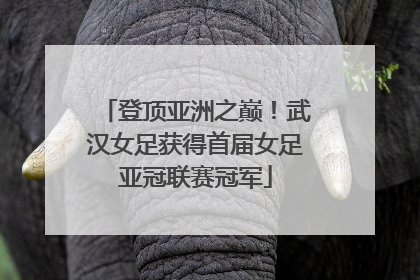 登顶亚洲之巅！武汉女足获得首届女足亚冠联赛冠军