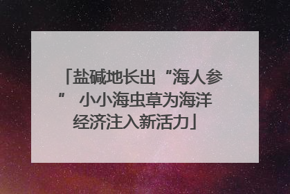 盐碱地长出“海人参” 小小海虫草为海洋经济注入新活力