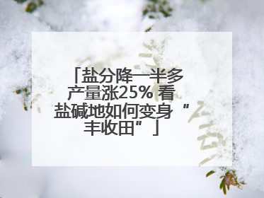 盐分降一半多 产量涨25% 看盐碱地如何变身“丰收田”