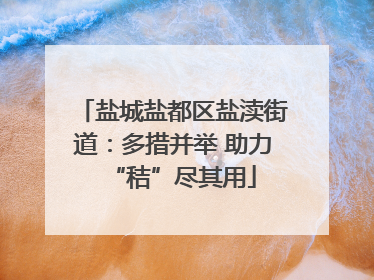 盐城盐都区盐渎街道：多措并举 助力“秸”尽其用
