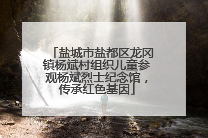 盐城市盐都区龙冈镇杨斌村组织儿童参观杨斌烈士纪念馆，传承红色基因